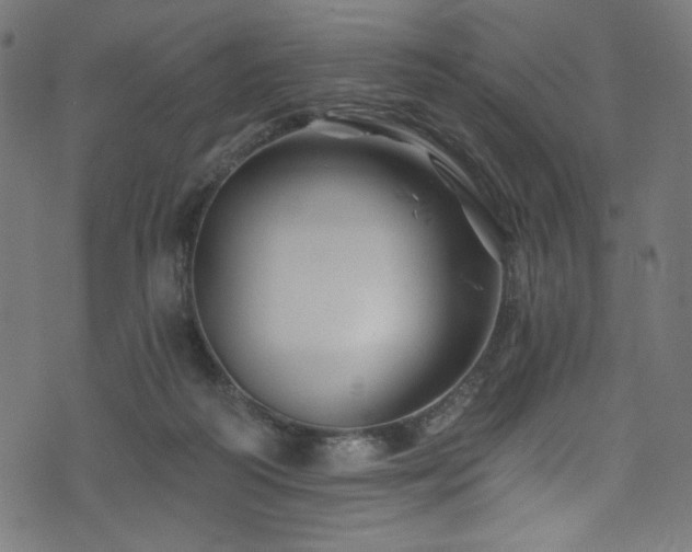 X0000074040218200608281453