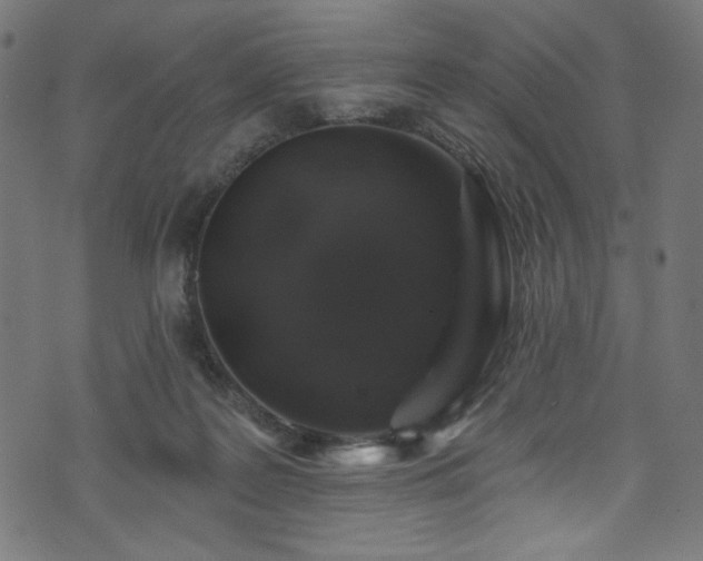 X0000074040219200608281453