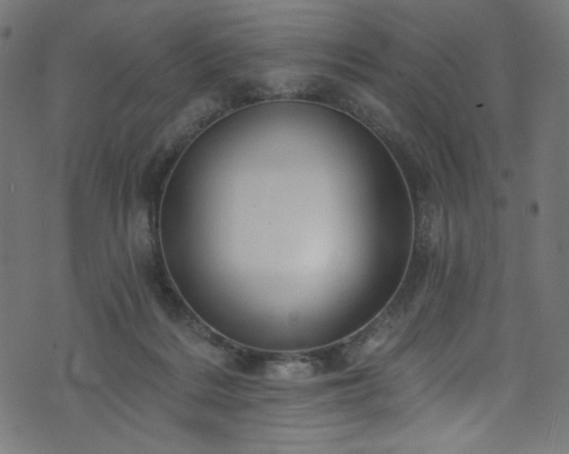 X0000074040220200608281453