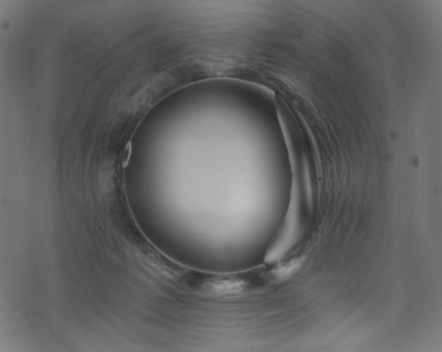 X0000074040221200608281452