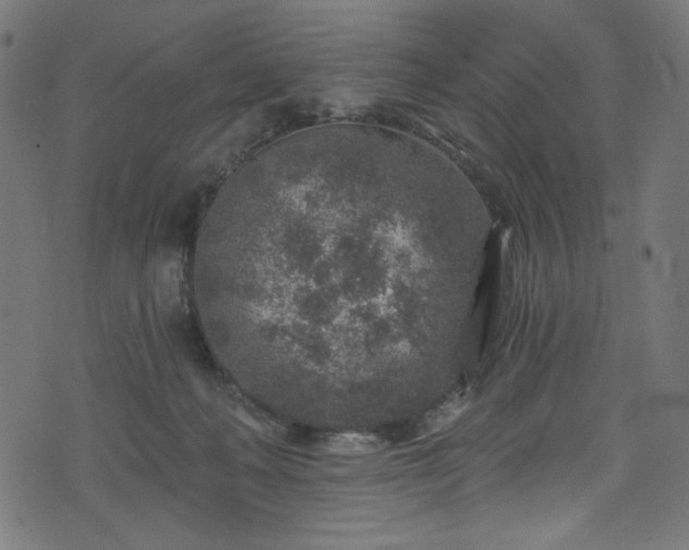 X0000074040222200608281452