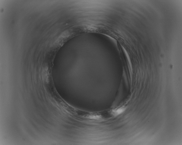 X0000074040223200608281452