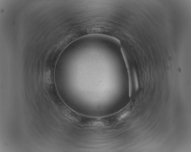 X0000074040224200608281452