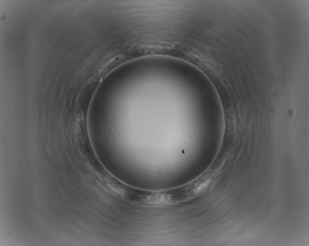 X0000074040225200608281452