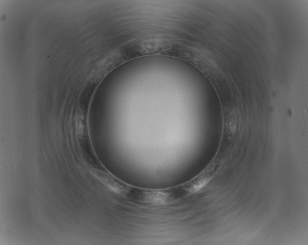 X0000074040226200608281452