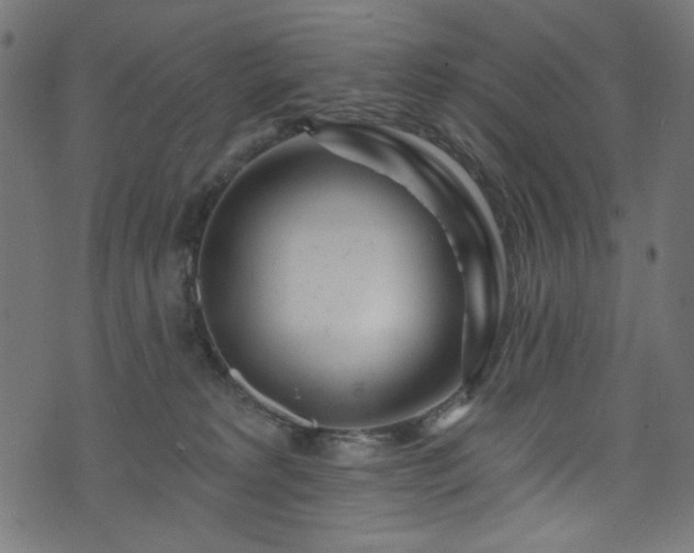 X0000074040229200608281452