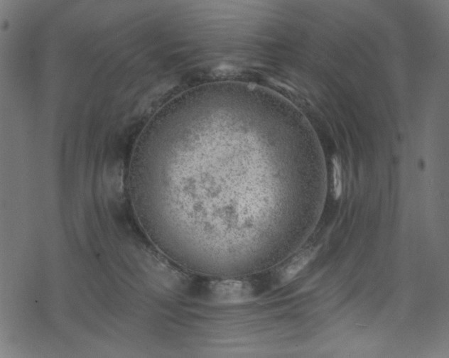 X0000074040230200608281452