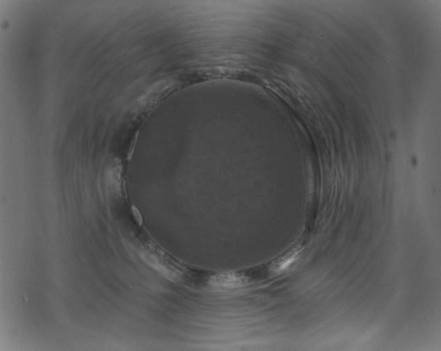 X0000074040231200608281452