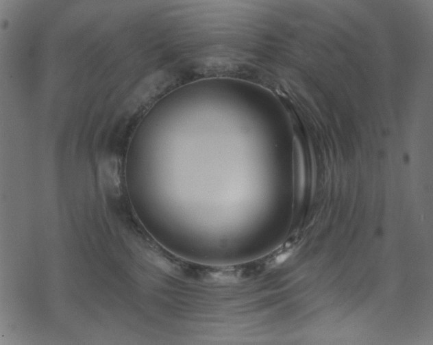 X0000074040232200608281452