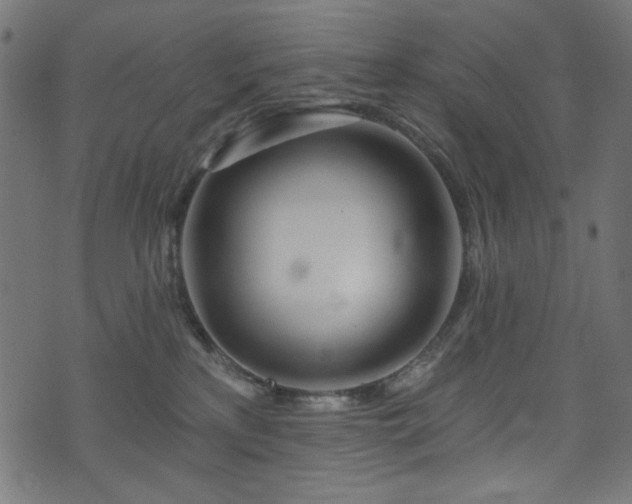 X0000074040233200608281452