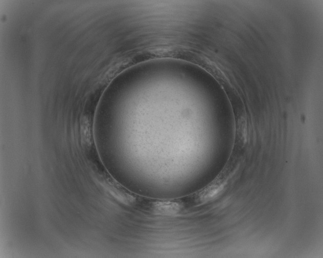 X0000074040234200608281452