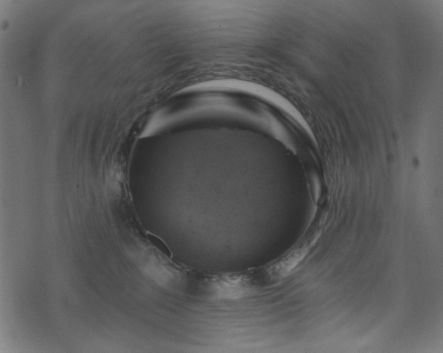 X0000074040235200608281452