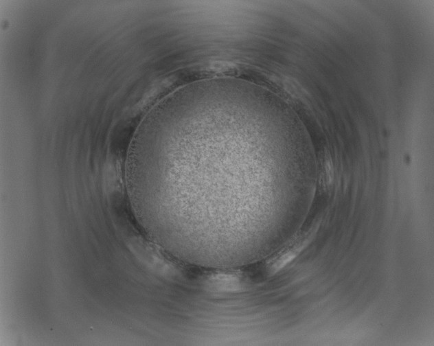 X0000074040236200608281452