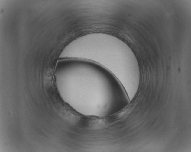 X0000074040237200608281452