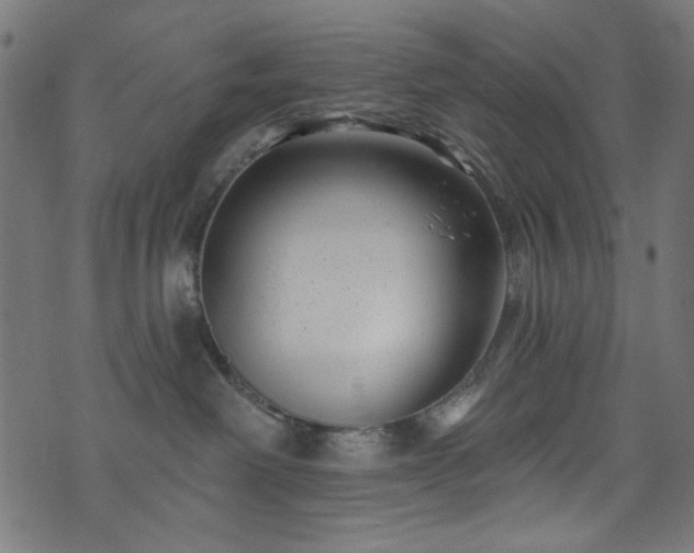 X0000074040238200608281452