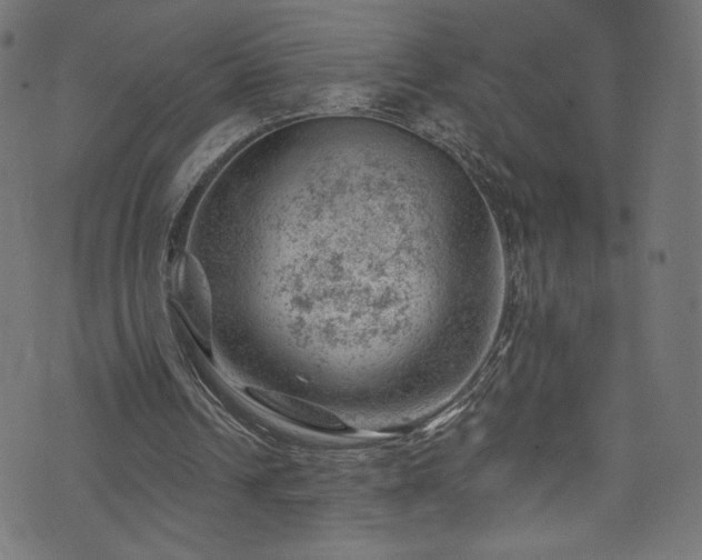 X0000074040242200608281451