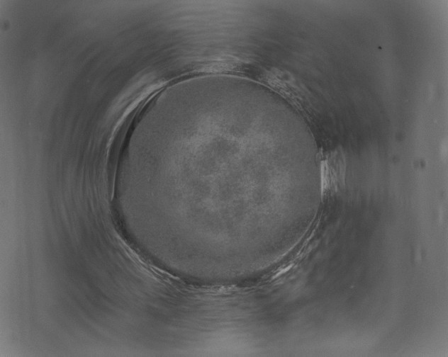 X0000074040243200608281451