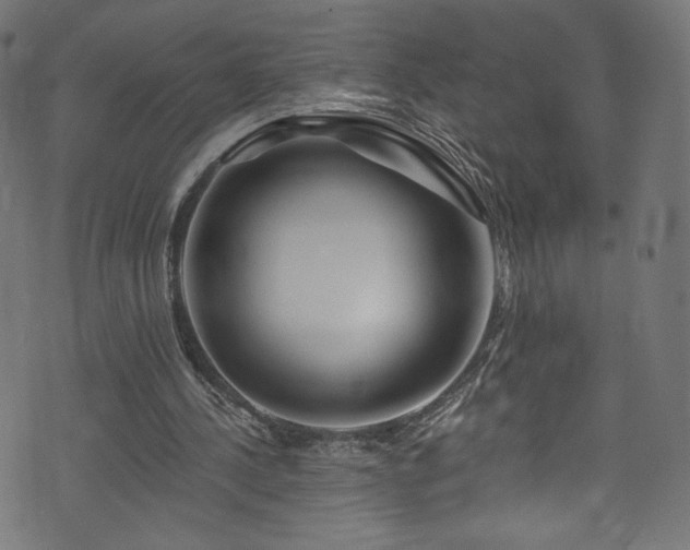 X0000074040244200608281451