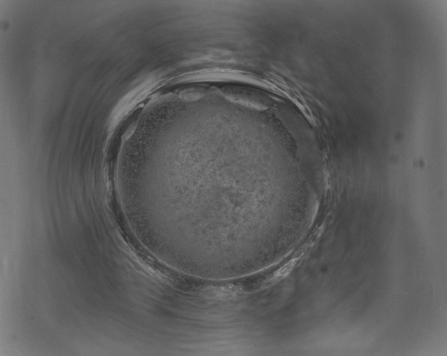 X0000074040245200608281451