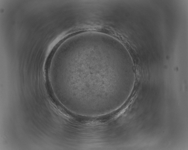 X0000074040246200608281451