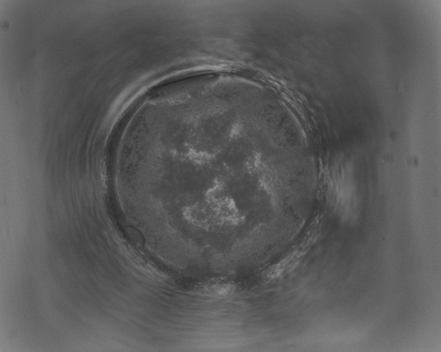 X0000074040247200608281452