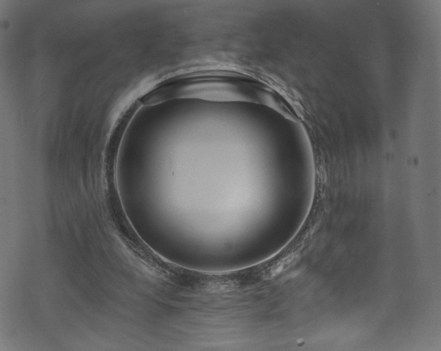 X0000074040248200608281452