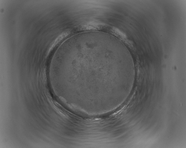 X0000074040250200608281452