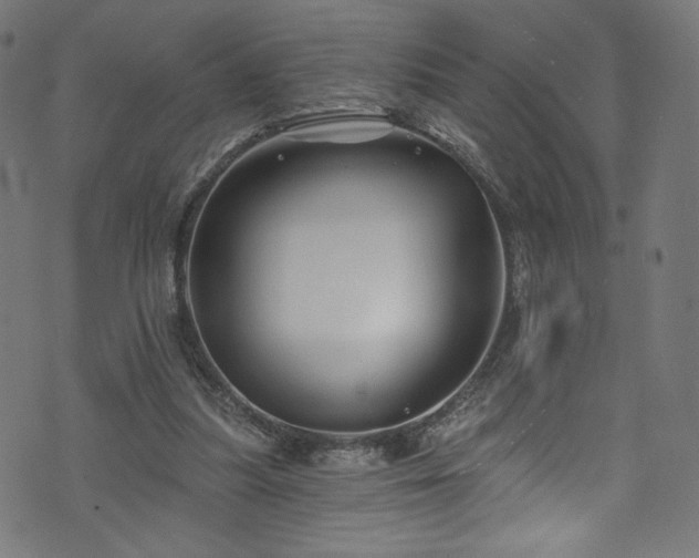 X0000074040251200608281452