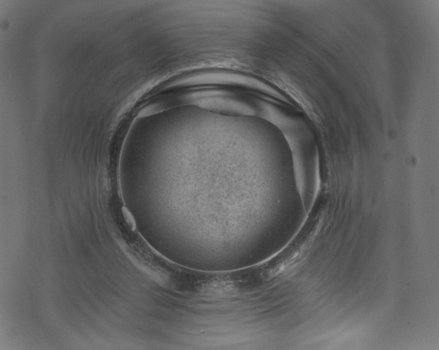 X0000074040252200608281452