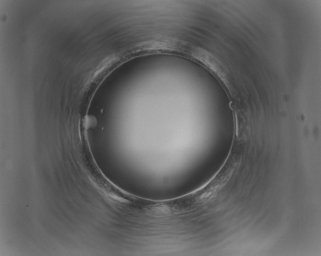 X0000074040253200608281452