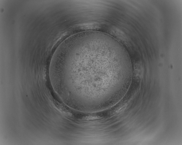 X0000074040255200608281452