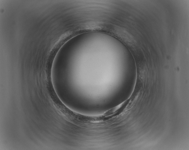 X0000074040256200608281452