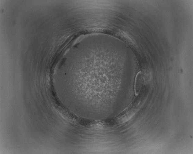 X0000074040259200608281452