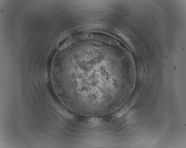 X0000074040261200608281452