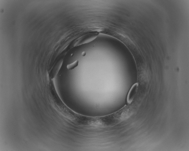 X0000074040262200608281452