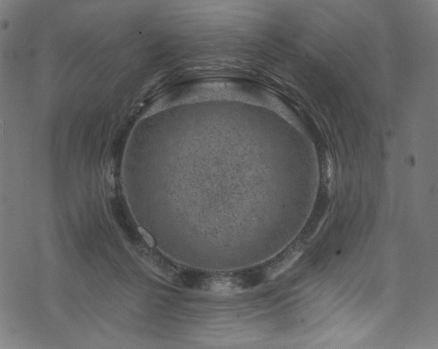 X0000074040264200608281452