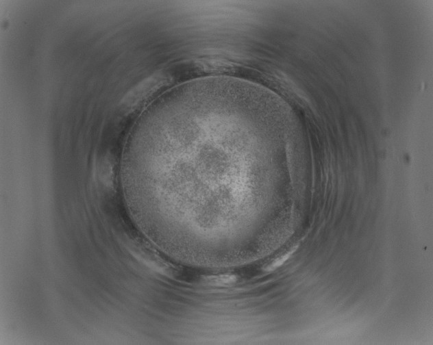 X0000074040266200608281452