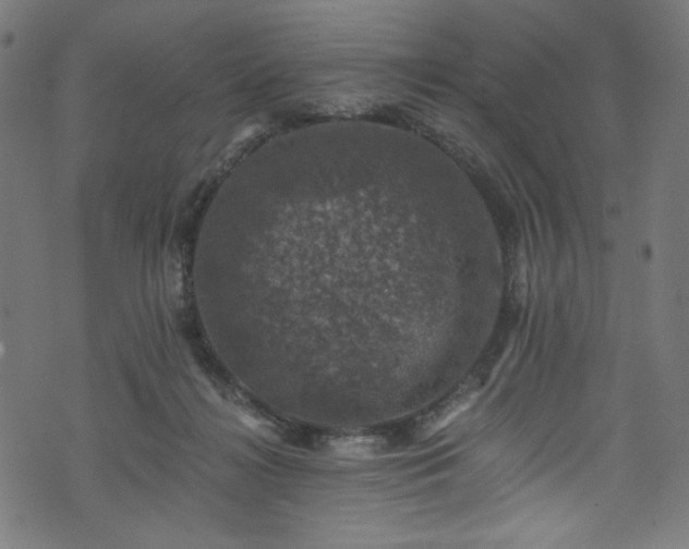 X0000074040268200608281452