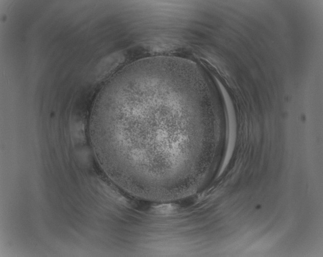 X0000074040269200608281452