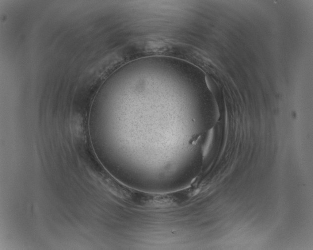 X0000074040270200608281452