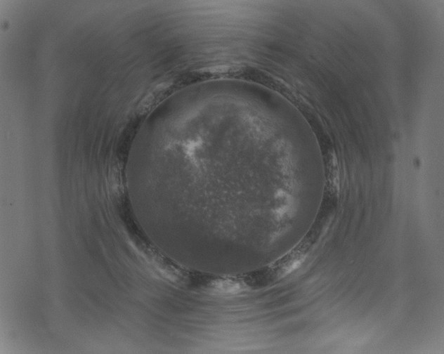 X0000074040272200608281452