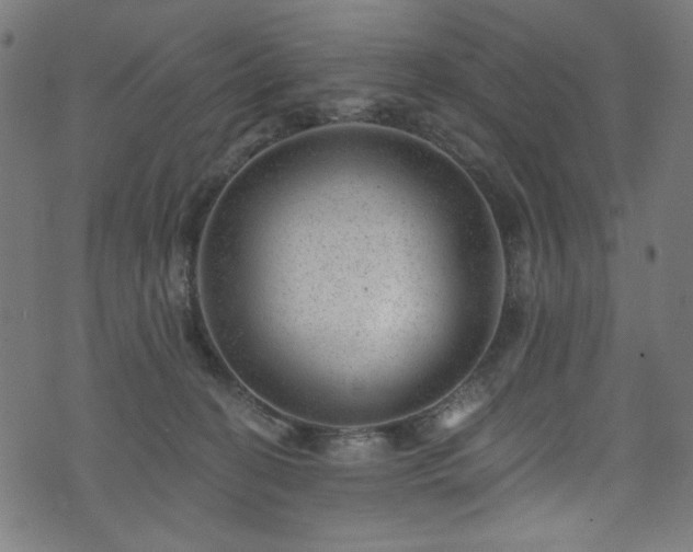 X0000074040274200608281452