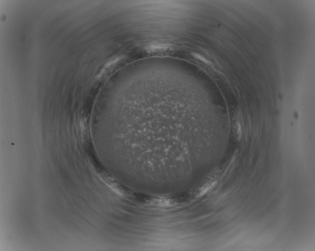 X0000074040276200608281452