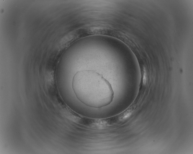 X0000074040278200608281452