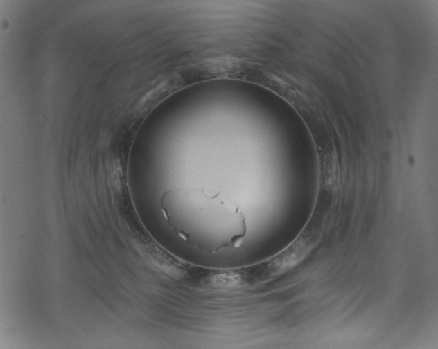 X0000074040279200608281452