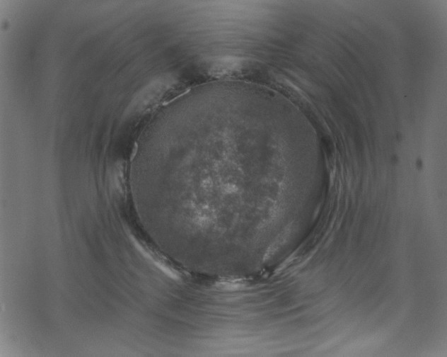 X0000074040280200608281452