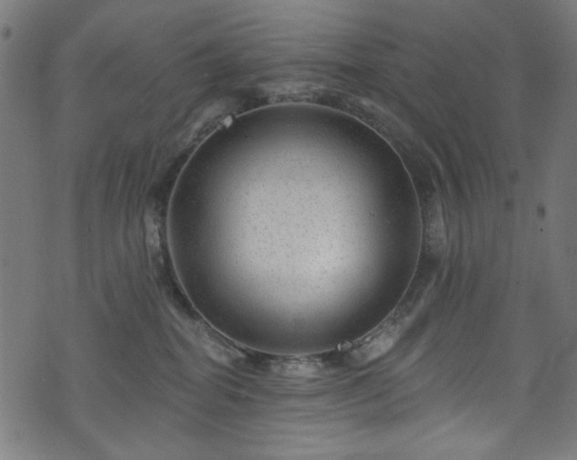 X0000074040282200608281452