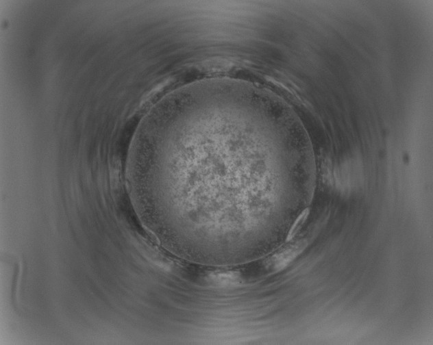 X0000074040283200608281452