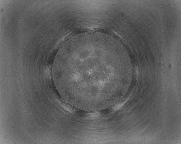 X0000074040286200608281452