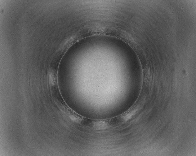 X0000074040287200608281452